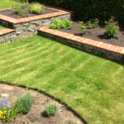 Gazon de Jardin : découvrez les différentes variétés de gazon pour choisir celle qui convient le mieux à votre jardin Cergy